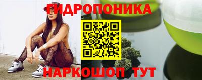 гидропоника Камышлов
