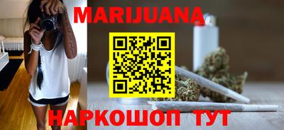 гидропоника Камышлов