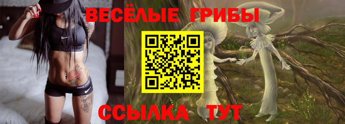купить  сайты  Псилоцибиновые грибы мицелий  Вход с VPN  Лесозаводск 